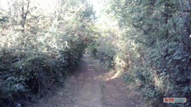 2013-09-22 17.33.21